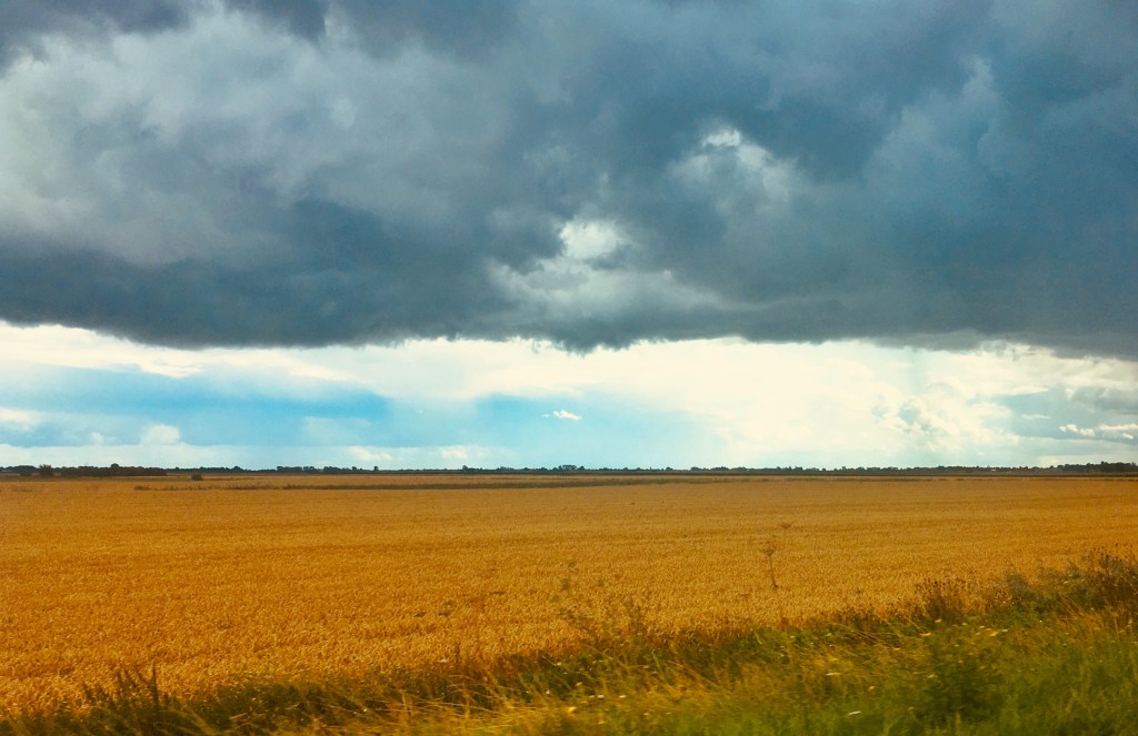 The Fens: The setting for The Perfect Guests